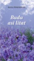 Budu asi lítat - Hana Pinknerová